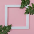 White frame with copy space and branches of green plants on pink background - Natural organic grass with elegant frame