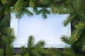 White frame and green branches of a Christmas tree on the background of old, wooden boards. Top view with copy space Royalty Free Stock Photo
