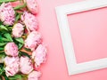 White frame with pink peony flowers on a pink background, top view, copy space, flat lay, mockup. Flower frame design for greeting Royalty Free Stock Photo