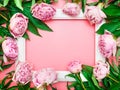 White frame with pink peony flowers on a pink background, top view, copy space, flat lay, mockup. Flower frame design for greeting Royalty Free Stock Photo