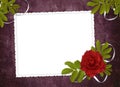 White frame with rose and ribbons