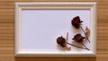 White frame with three dried red roses and empty white canvas on natural bamboo wall. Royalty Free Stock Photo