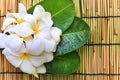 white frangipani flowers bouquet and green leaves with fresh water dew on bamboo mat textured background use for beautiful nature