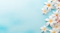 White frangipani flowers floating on turquoise water background Generative AI Royalty Free Stock Photo