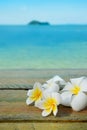 White frangipani plumeria flowers on the old green grunge wooden tabletop with beautifull sea view background