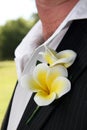 White Frangipani Wedding Corsage on Groom