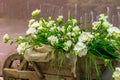 White freesia flower bouquet composition with cart Royalty Free Stock Photo