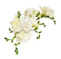 White freesia flowers in a beautiful composition Royalty Free Stock Photo