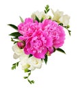 White freesia flowers and pink peonies in a beautiful composition Royalty Free Stock Photo