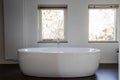 White freestanding bathtub in designed modern bathroom