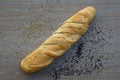 White French baguette Royalty Free Stock Photo