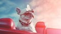 White French Bulldog, wearing sunglasses, driving an open top car, Generative AI