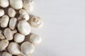 White fresh champignons on a white table with copy space