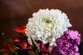 White Fresh Flowers Crisanthemum Close Up. Copy space for text. High resolution beautiful flowers bouquet. Royalty Free Stock Photo