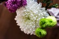 White Fresh Flowers Crisanthemum Close Up. Copy space for text. High resolution beautiful flowers bouquet. Royalty Free Stock Photo