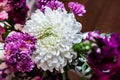 White Fresh Flowers Crisanthemum Close Up. Copy space for text. High resolution beautiful flowers bouquet. Royalty Free Stock Photo