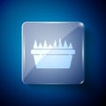 White Fresh grass in a rectangular icon isolated on blue background. Home decor. The symbol of growth and ecology Royalty Free Stock Photo