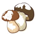 White fresh mushroom icon, healthy vegetarian symbol