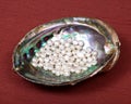White freshwater pearls in rainbow abalone shell Royalty Free Stock Photo