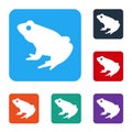 White Frog icon isolated on white background. Animal symbol. Set icons in color square buttons. Vector Royalty Free Stock Photo