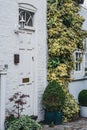 White front door by a climbing plant on a traditional mews house in London, UK Royalty Free Stock Photo