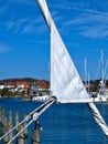 White front sail of a yacht