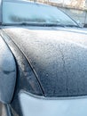 White frost on the car body. Small layer of snow