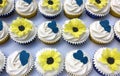 White frosted cupcakes with sunflowers and blue hearts