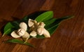 White frragrant Flowers & x28;White chese wood flowers: Melodorum fru Royalty Free Stock Photo