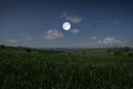 White full moon over corn field in early morning Royalty Free Stock Photo