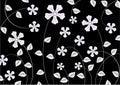 White funky flowers abstract pattern Royalty Free Stock Photo