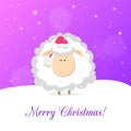 White funny sheep isolated on purple background. Vector cute christmas greeting card