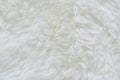 White fur Royalty Free Stock Photo