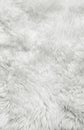 White fur background Royalty Free Stock Photo