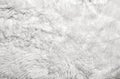 White fur background Royalty Free Stock Photo