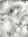 White fur close up, soft texture .White fluffy fabric,home textiles for a cozy feel at home.