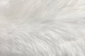 White natural fur background Royalty Free Stock Photo