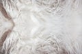 White fur texture background Royalty Free Stock Photo