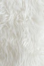 White fur texture background Royalty Free Stock Photo