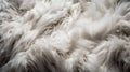 White fur texture for background. Close-up of white fluffy carpet.