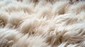 White fur texture for background. Close-up of white fluffy carpet.