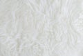 White fur texture background Royalty Free Stock Photo