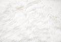 White fur texture Royalty Free Stock Photo