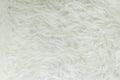 White fur texture, close-up Royalty Free Stock Photo