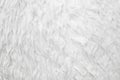 White fur texture closeup Royalty Free Stock Photo