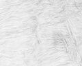 White Fur Texture