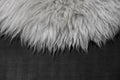 White fur texture