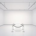 White gallery with empty showcase. 3d rendering