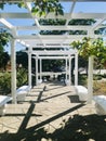 A white garden arches in the rose garden. Royalty Free Stock Photo