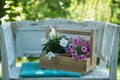 White garden bench in a summer garden Royalty Free Stock Photo